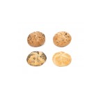 Surtido Panecillos Redondos 45gr (4 bolsas x 30ud)