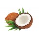 Frappé Coco 40 gr x 14 sobres DEEP SPIRIT