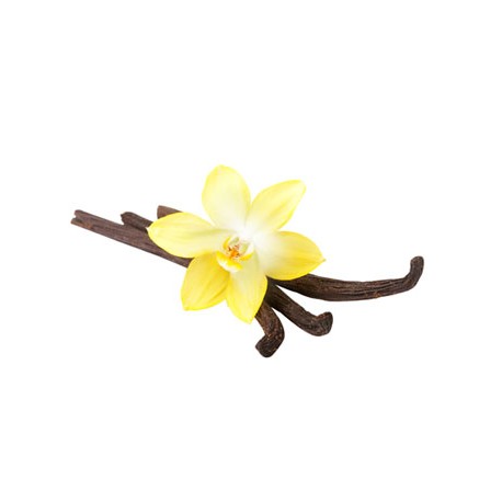 Frappé Vainilla 40 gr x 14 sobres DEEP SPIRIT